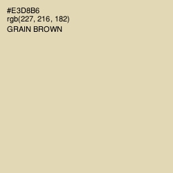 #E3D8B6 - Grain Brown Color Image